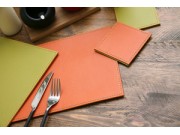 Justin Capp Set of 4 Reversible Faux Leather Coasters (orange / lime)